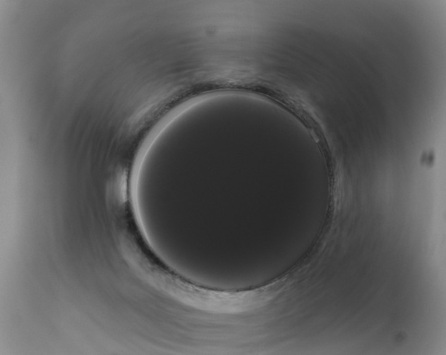 X0000111050027200907091644