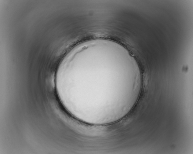 X0000111050028200907091644