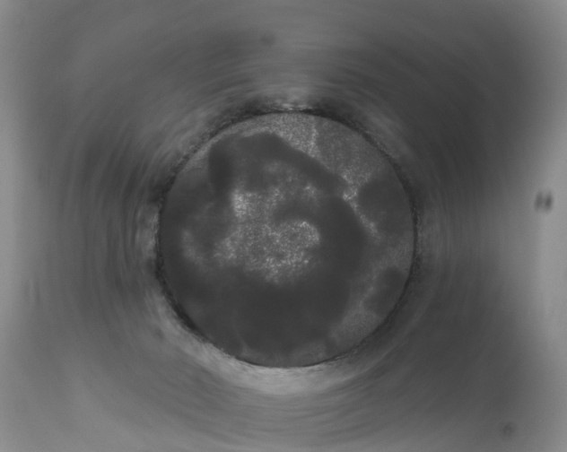 X0000111050030200907091644