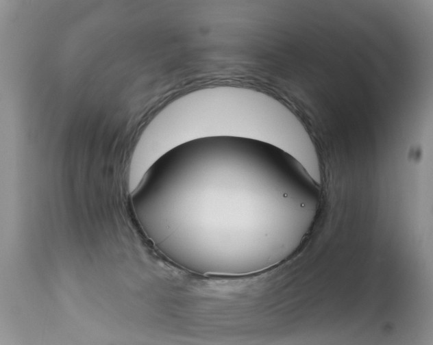 X0000111050033200907091644