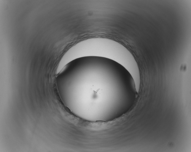 X0000111050037200907091644