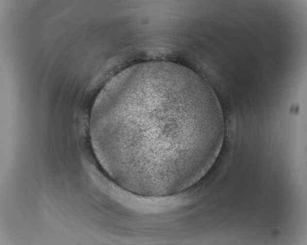 X0000111050038200907091644