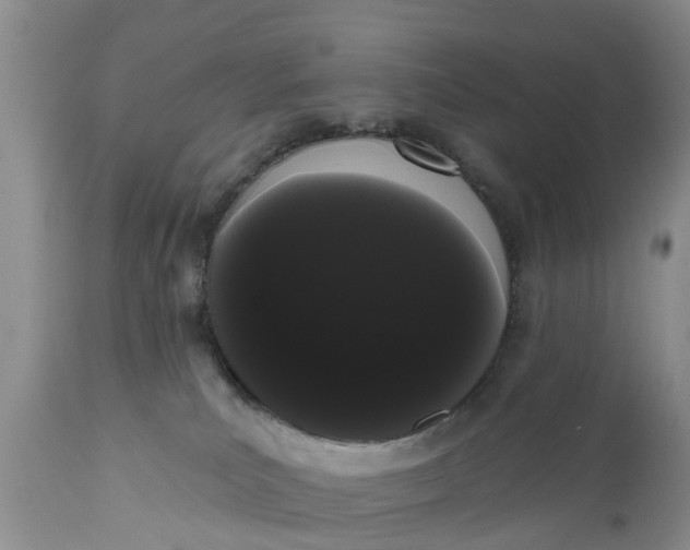 X0000111050039200907091644