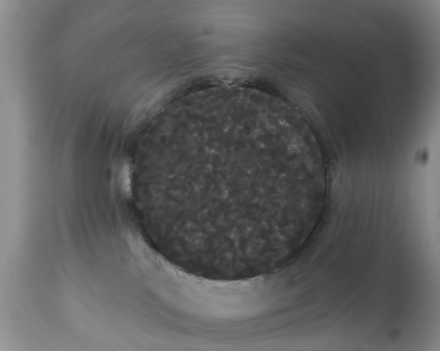 X0000111050042200907091644