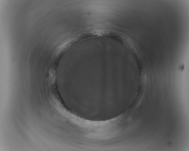 X0000111050043200907091644