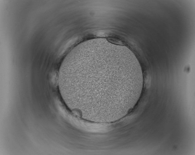 X0000111050044200907091644