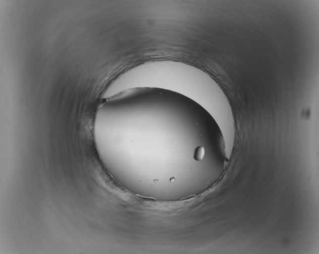 X0000111050045200907091644