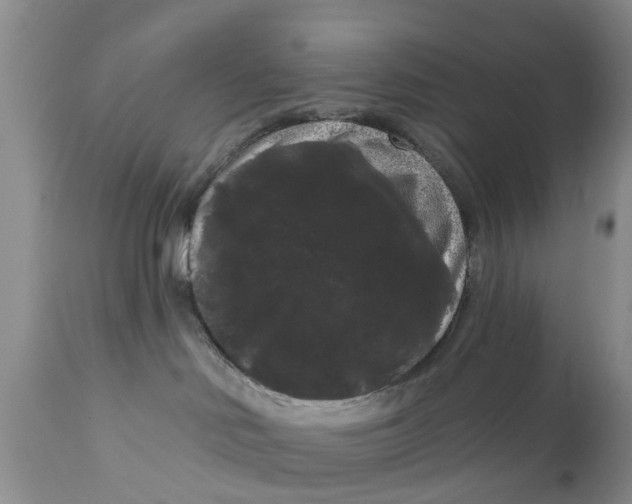 X0000111050046200907091644