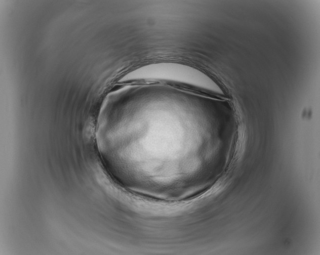 X0000111050048200907091644