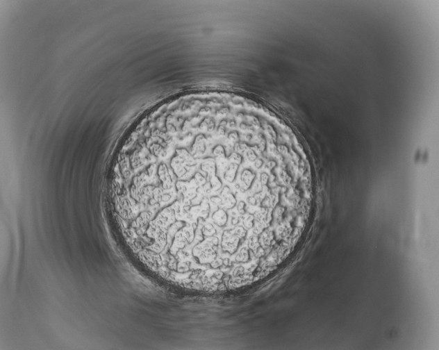 X0000111050049200907091643