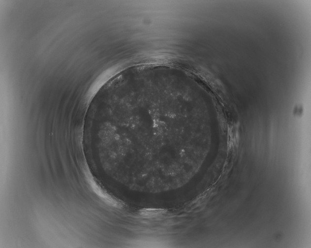 X0000111050051200907091643