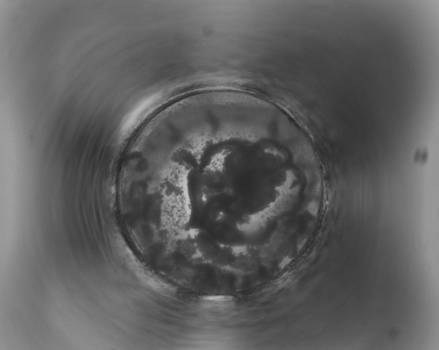 X0000111050053200907091643