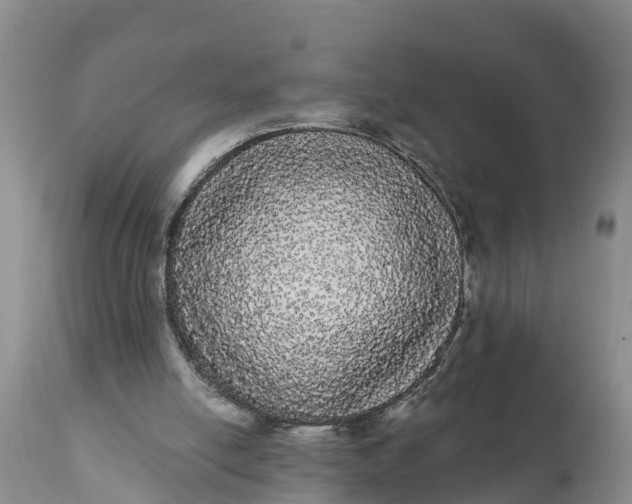 X0000111050054200907091643