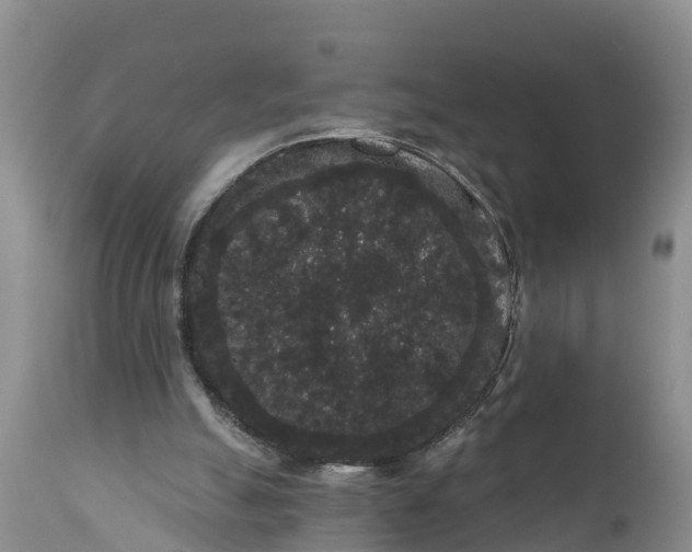 X0000111050055200907091643