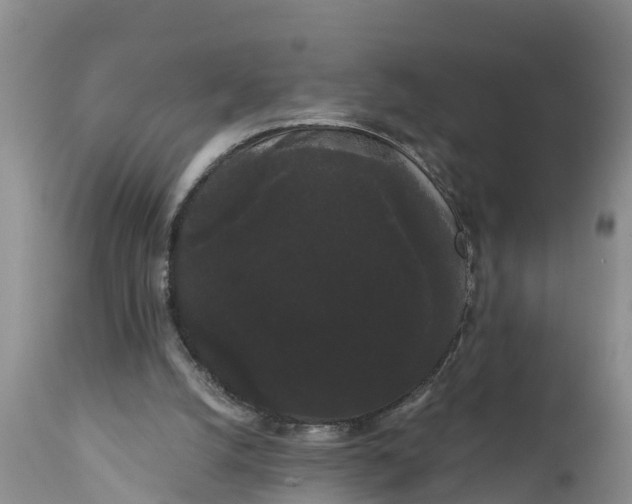 X0000111050056200907091643