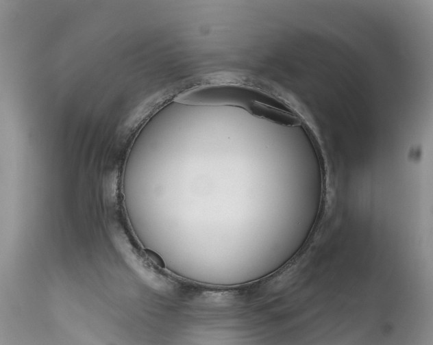 X0000111050057200907091643