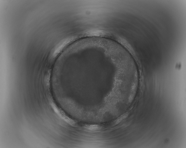 X0000111050058200907091643