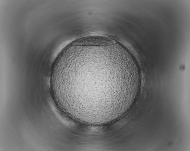 X0000111050060200907091643