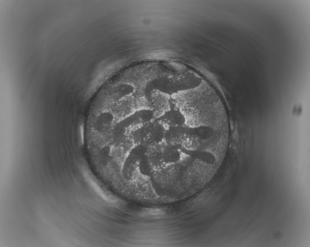 X0000111050061200907091643