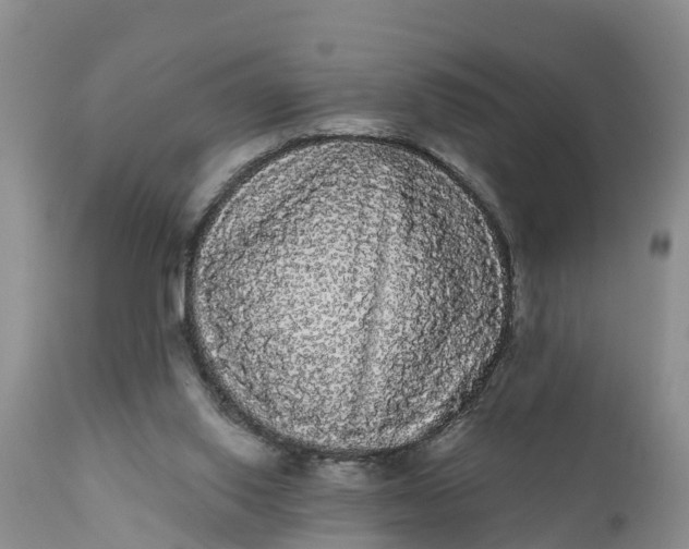 X0000111050062200907091643