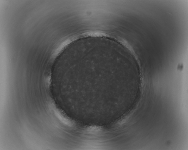 X0000111050063200907091643