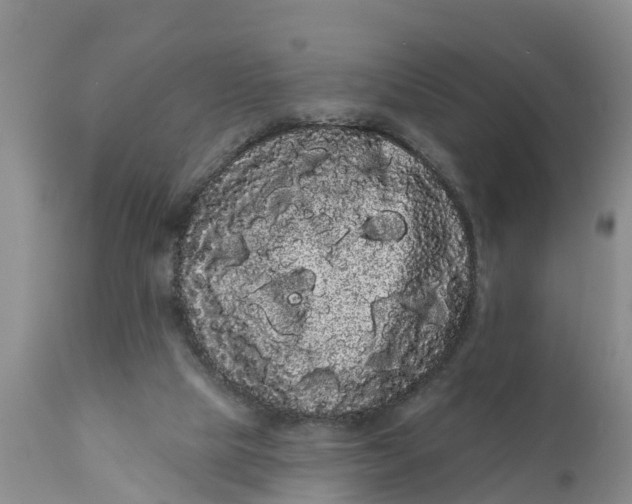 X0000111050065200907091643