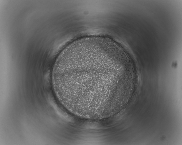 X0000111050066200907091643