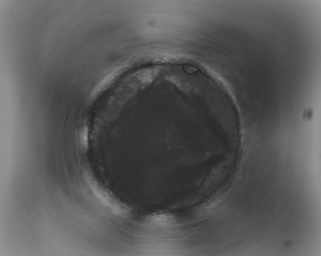 X0000111050067200907091643