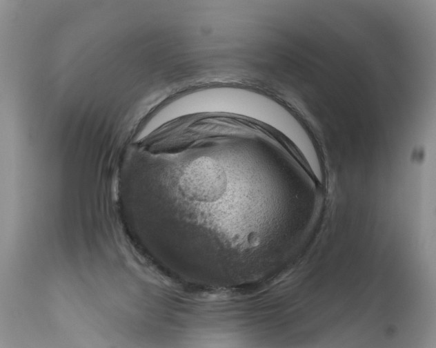 X0000111050068200907091643