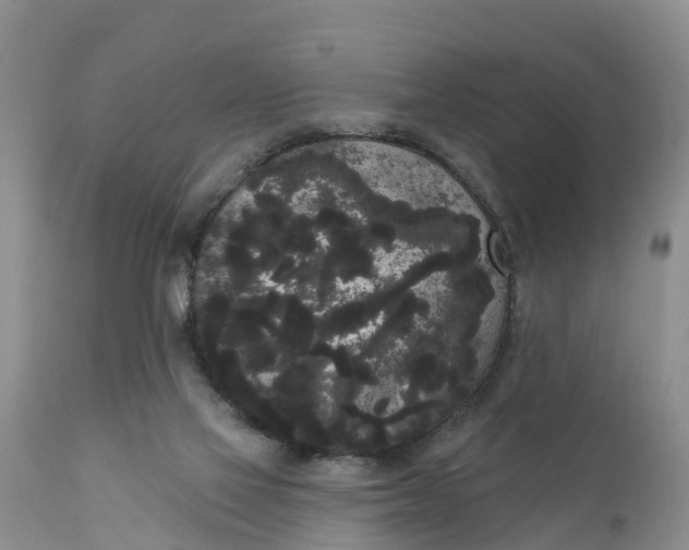 X0000111050069200907091643