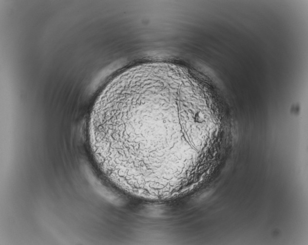 X0000111050071200907091643