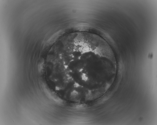 X0000111050073200907091643