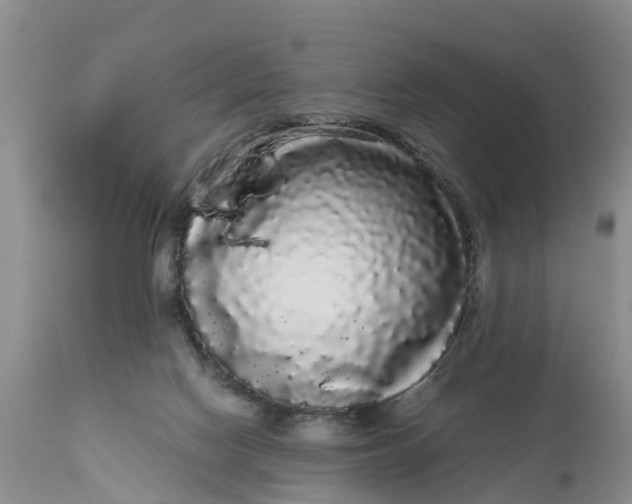 X0000111050074200907091643