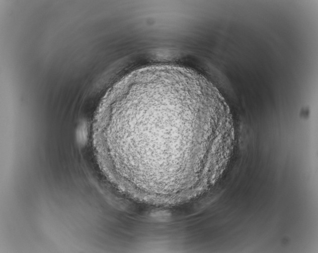 X0000111050075200907091643