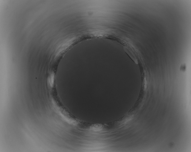 X0000111050076200907091643