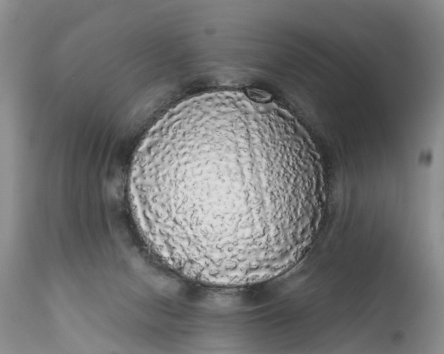 X0000111050078200907091643