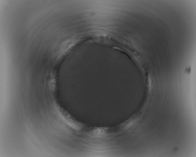 X0000111050080200907091643