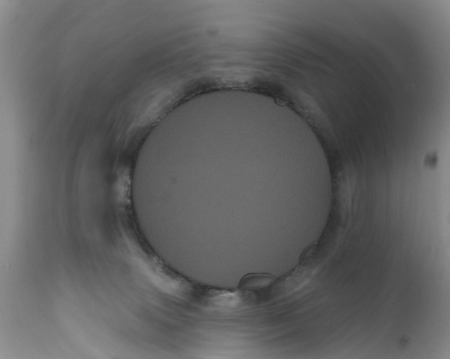 X0000111050083200907091643