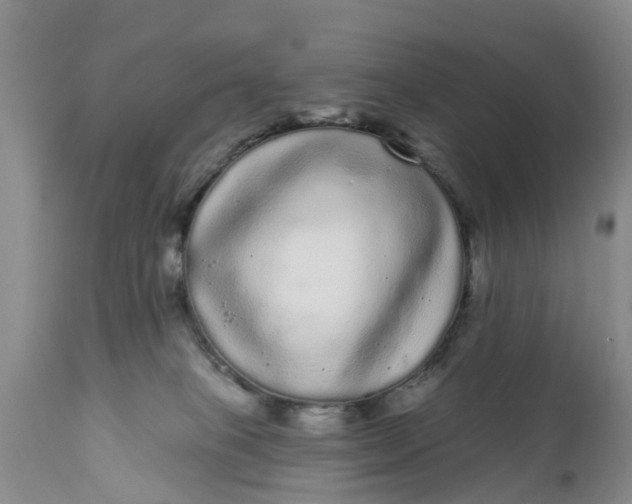 X0000111050085200907091644