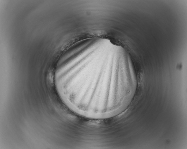 X0000111050086200907091644