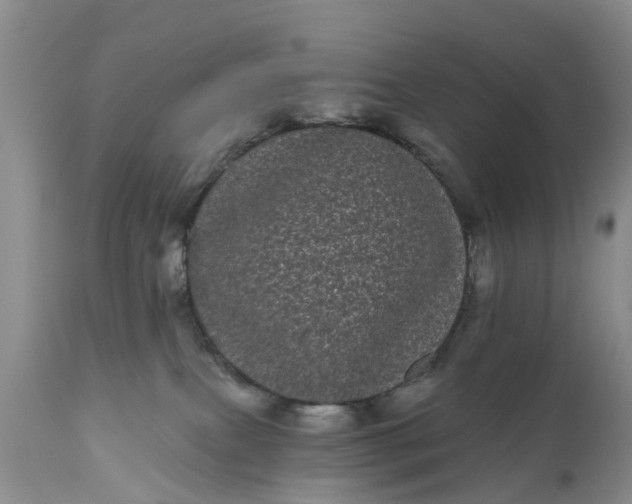 X0000111050087200907091644