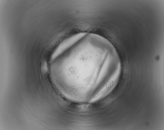 X0000111050089200907091644