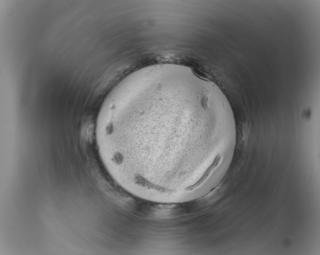 X0000111050090200907091644