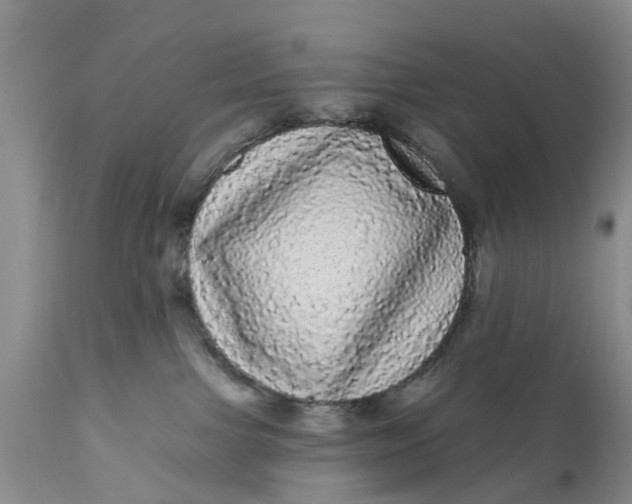 X0000111050091200907091644