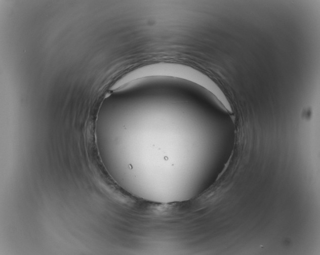 X0000111050092200907091644