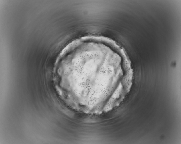 X0000111050093200907091644