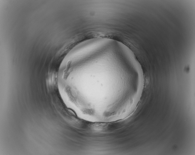 X0000111050094200907091644