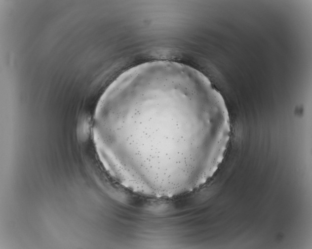 X0000111050095200907091644