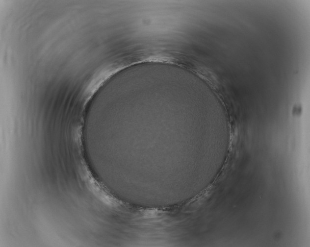 X0000111050098200907091643