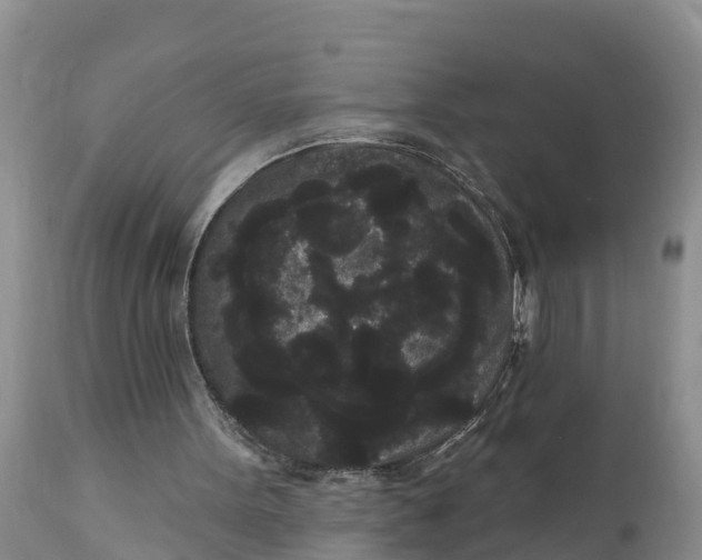 X0000111050099200907091643